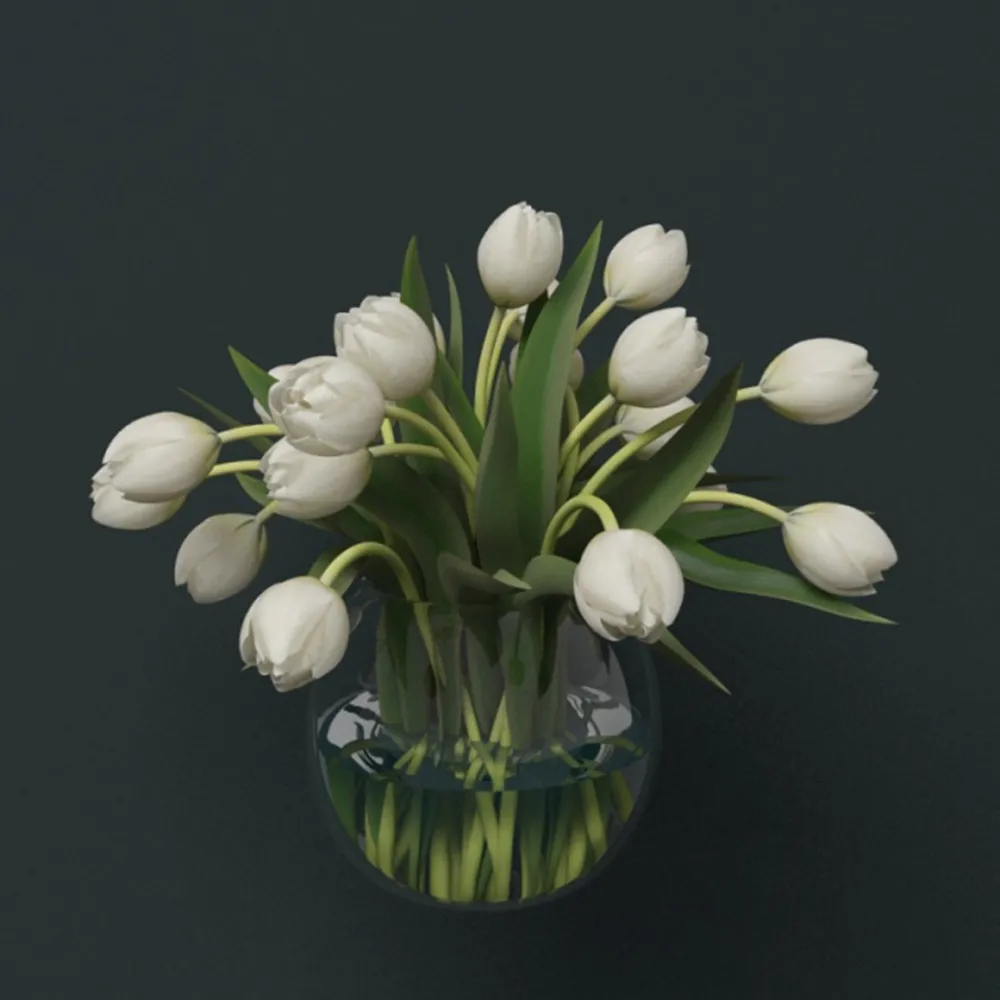 decoration – Beautiful white tulips 3D Model