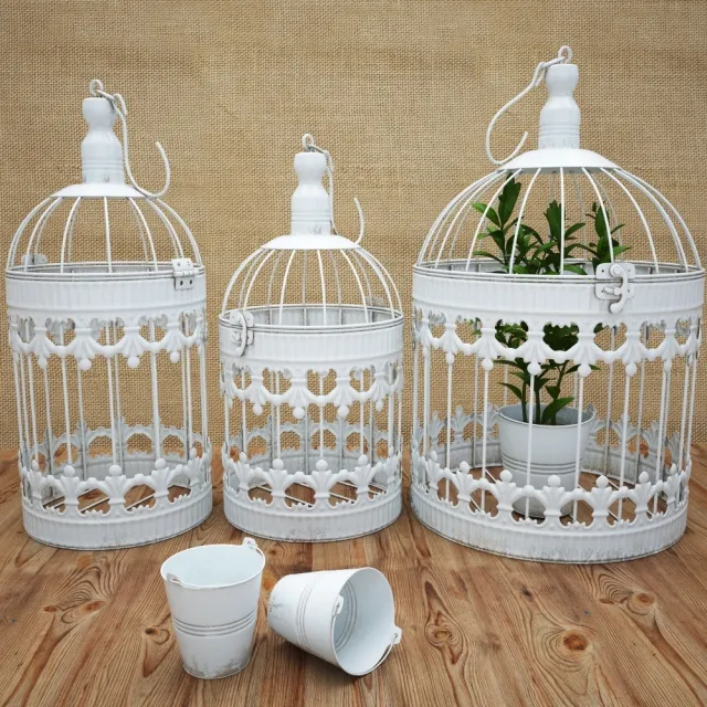 decoration – Bird Cage 3D Model decoration – Bird Cage 3D Model
