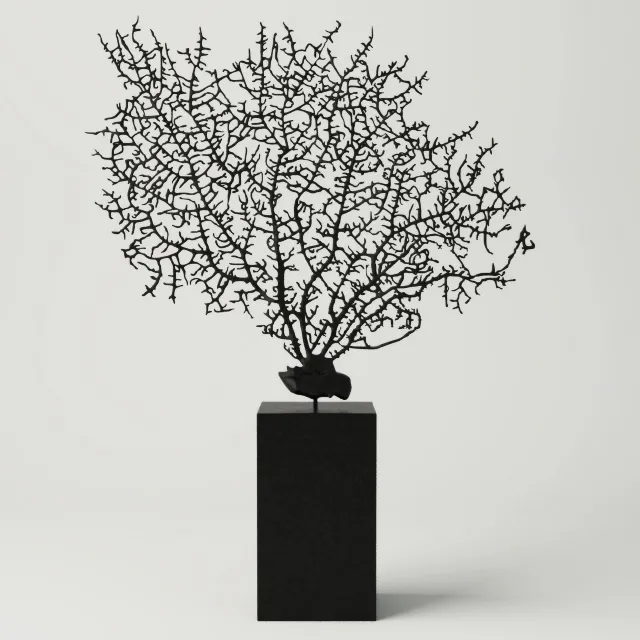 decoration – Black Gorgonia decoration 3D Model