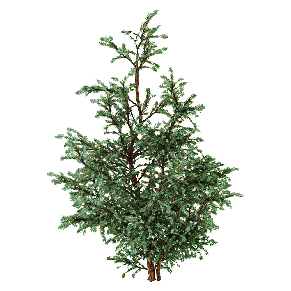 decoration – Boulevard Cypress 01 01 3D Model