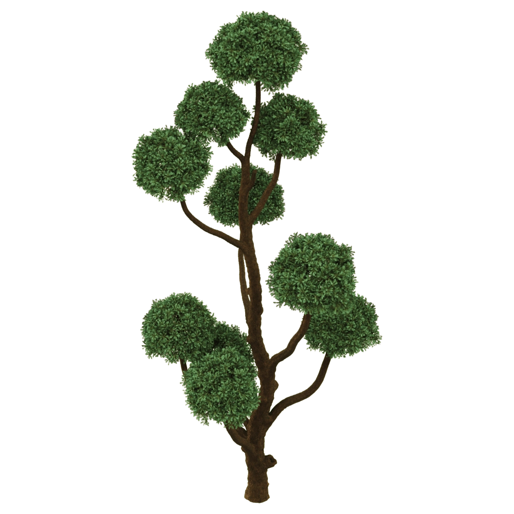 decoration – Boulevard Cypress 01 05 3D Model