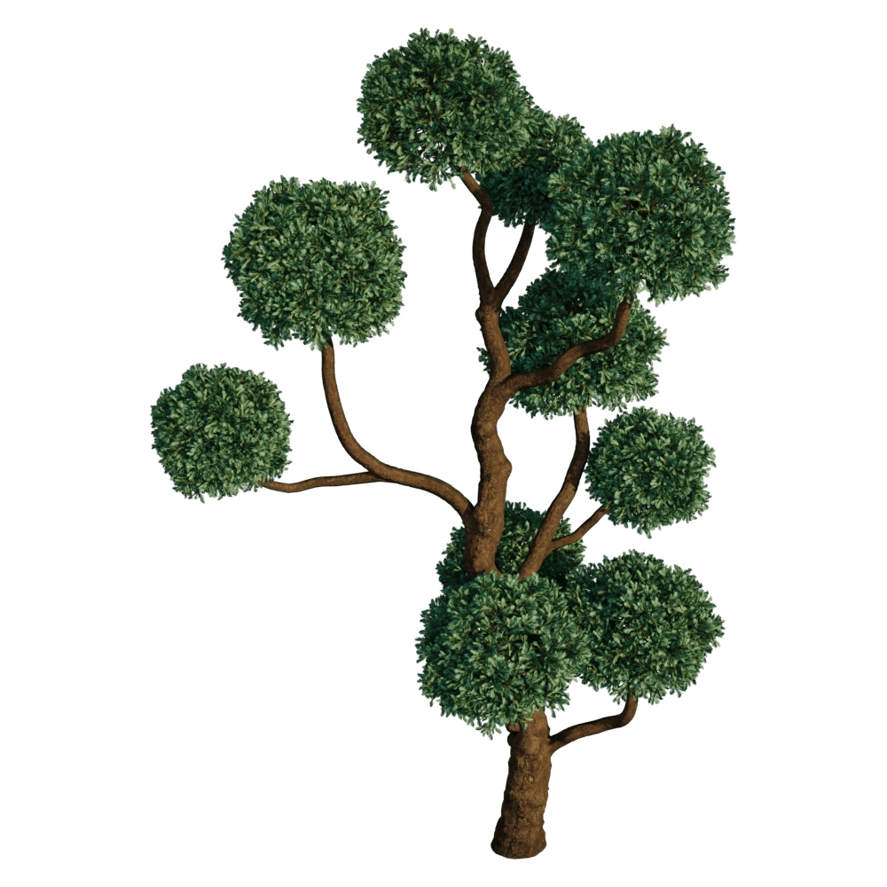 decoration – Boulevard Cypress 01 06 3D Model