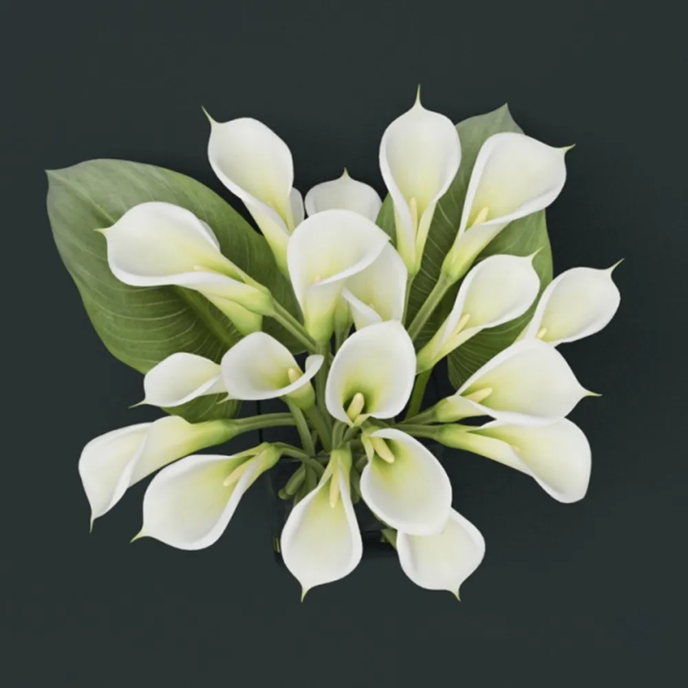 decoration – Bouquet of callas in a vase 3D Model