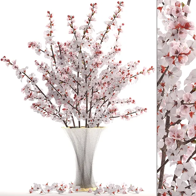 decoration – Bouquet of cherry blossoms 3D Model