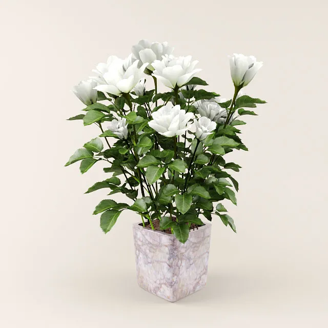 decoration – Bouquet of flowers 75 3D Model