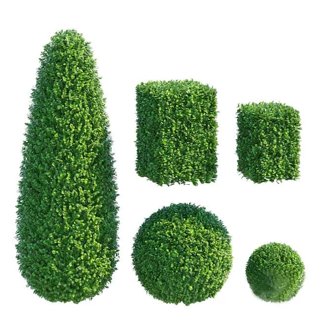 decoration – Boxwood 6 3D Model decoration – Boxwood 6 3D Model