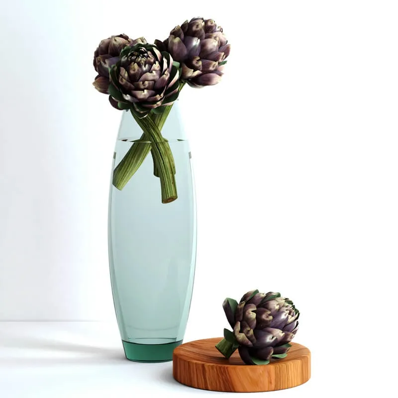 decoration – Burgundy Artichokes 01 3D Model decoration – Burgundy Artichokes 01 3D Model
