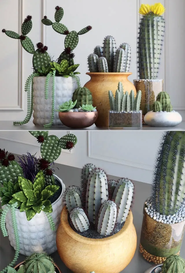 decoration – Cacti 3D Model decoration – Cacti 3D Model