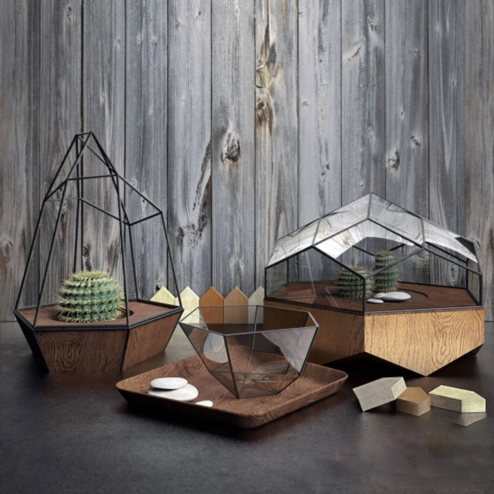 decoration – Cacti in decorative pots 3D Model