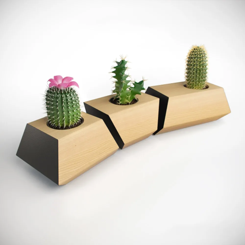 decoration – Cacti in pots 3D Model