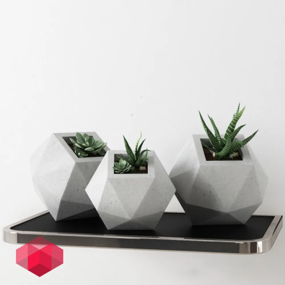 decoration – Cacti in vases 3D Model