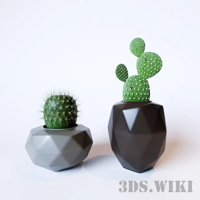 decoration – Cacti in vases 3D Model