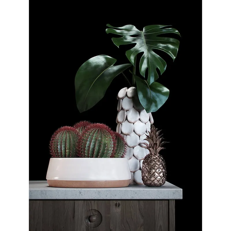 decoration – Cacti set 3D Model decoration – Cacti set 3D Model