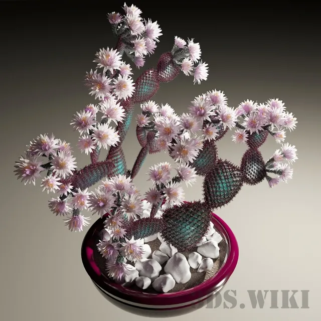 decoration – Cactus 3D Model decoration – Cactus 3D Model