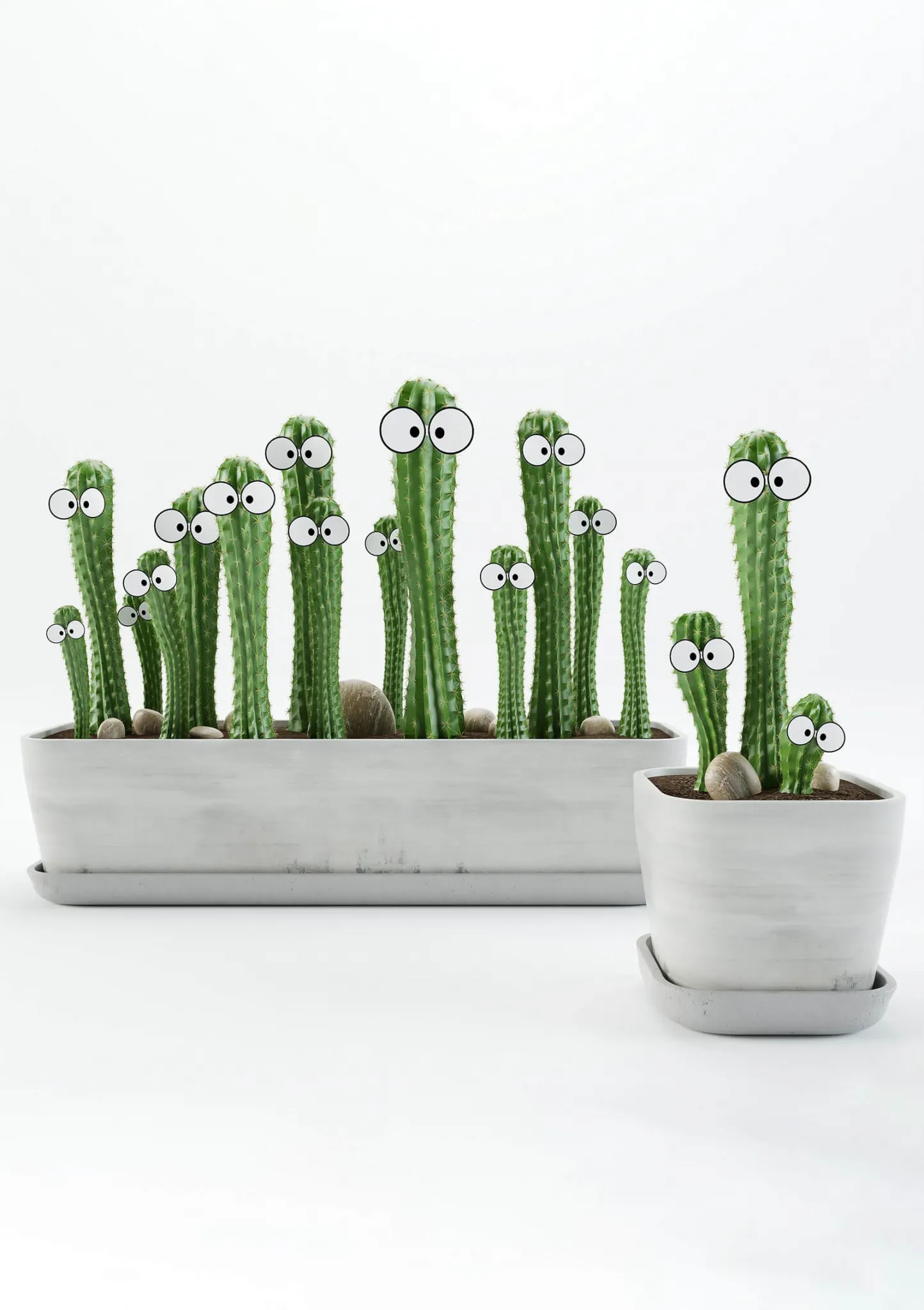 decoration – Cactus 3D Model decoration – Cactus 3D Model
