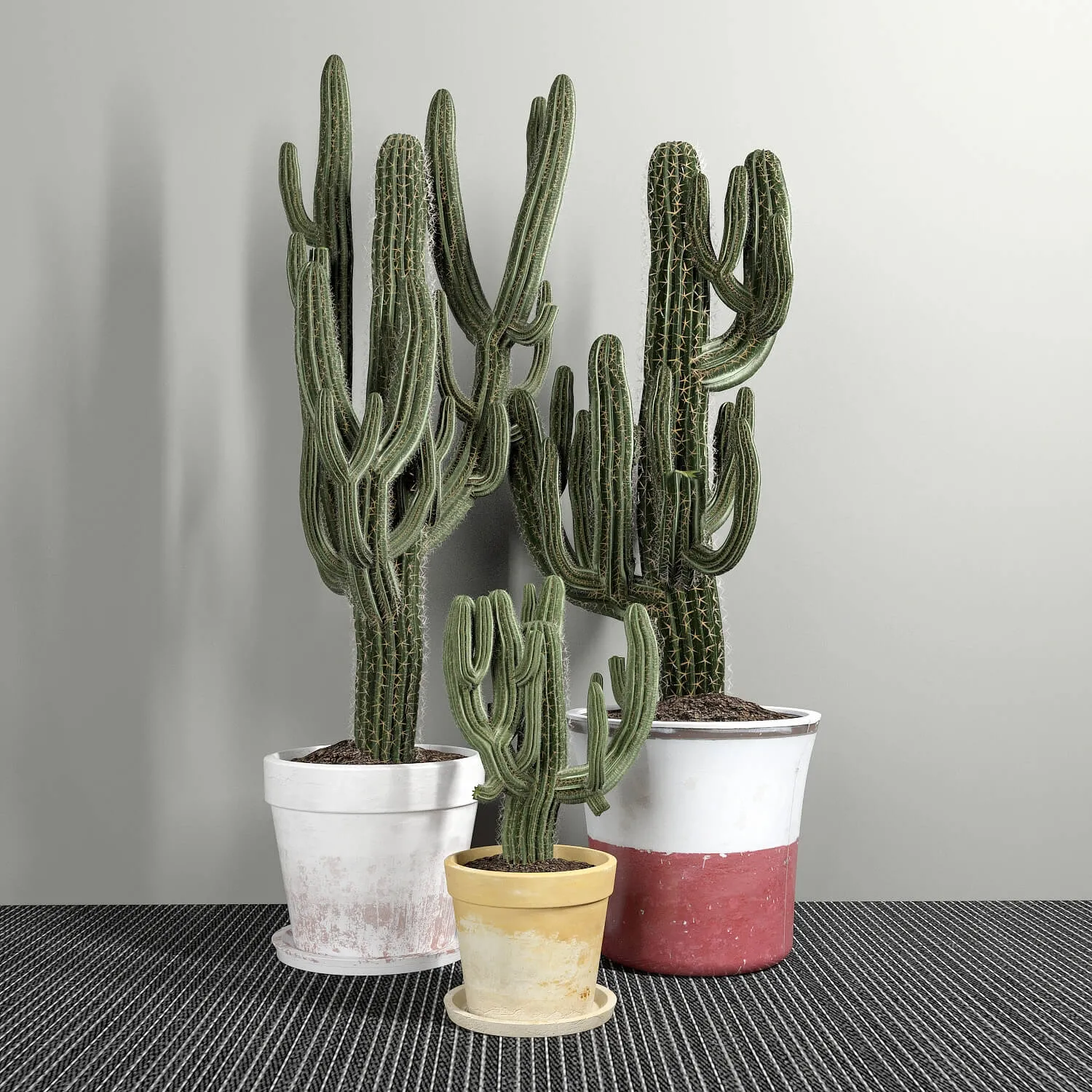 decoration – Cactus 56 3D Model decoration – Cactus 56 3D Model