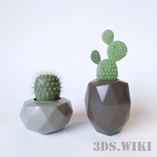 decoration – Cactus in beautiful decorative vases 3D Model