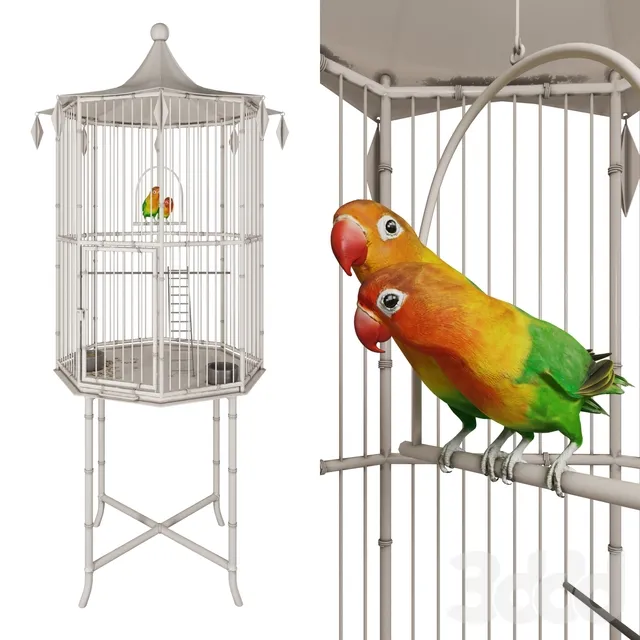 decoration – Cage with birds 3D Model