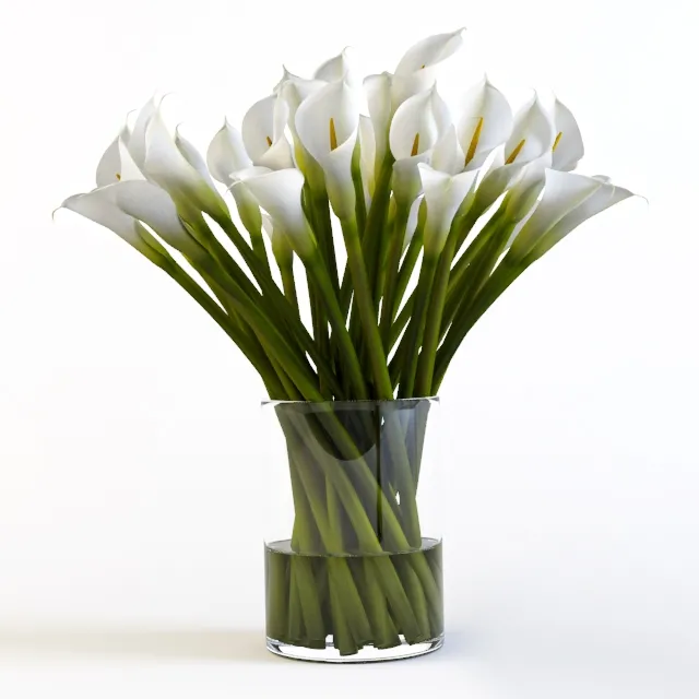 decoration – Calla 3D Model