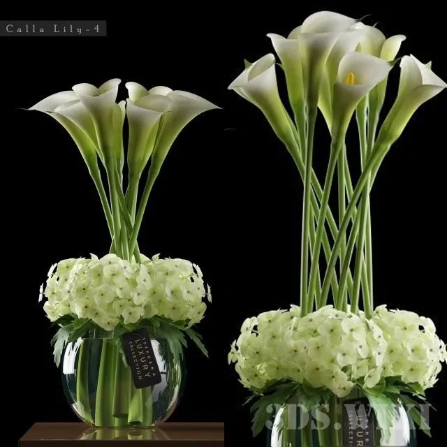 decoration – CALLA LILLY 4 3D Model decoration – CALLA LILLY 4 3D Model