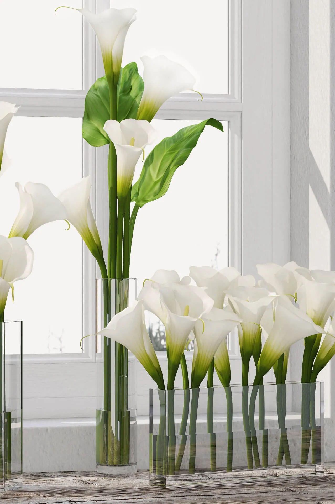 decoration – Calla Lily  05 3D Model