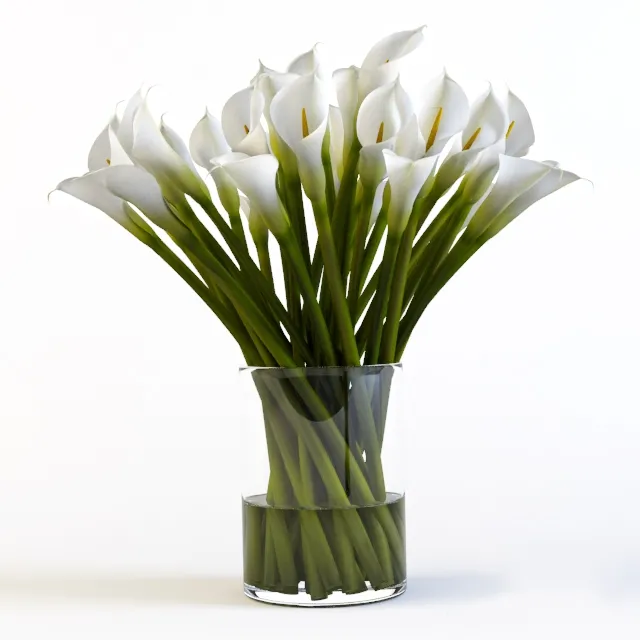 decoration – Callas 5 3D Model