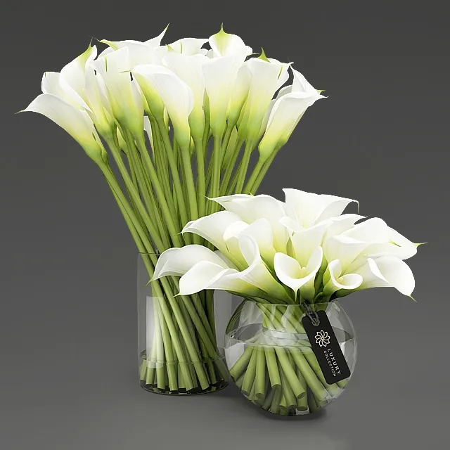 decoration – Callas in a vase 3D Model decoration – Callas in a vase 3D Model