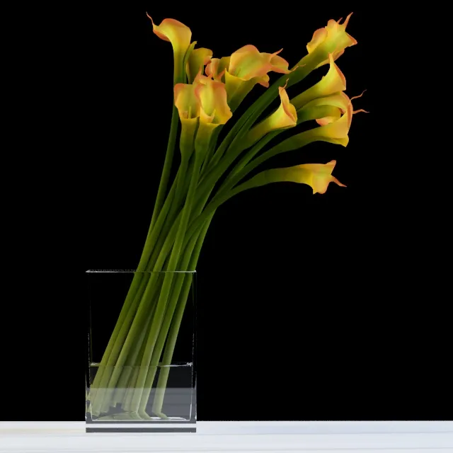 decoration – Calls 3D Model