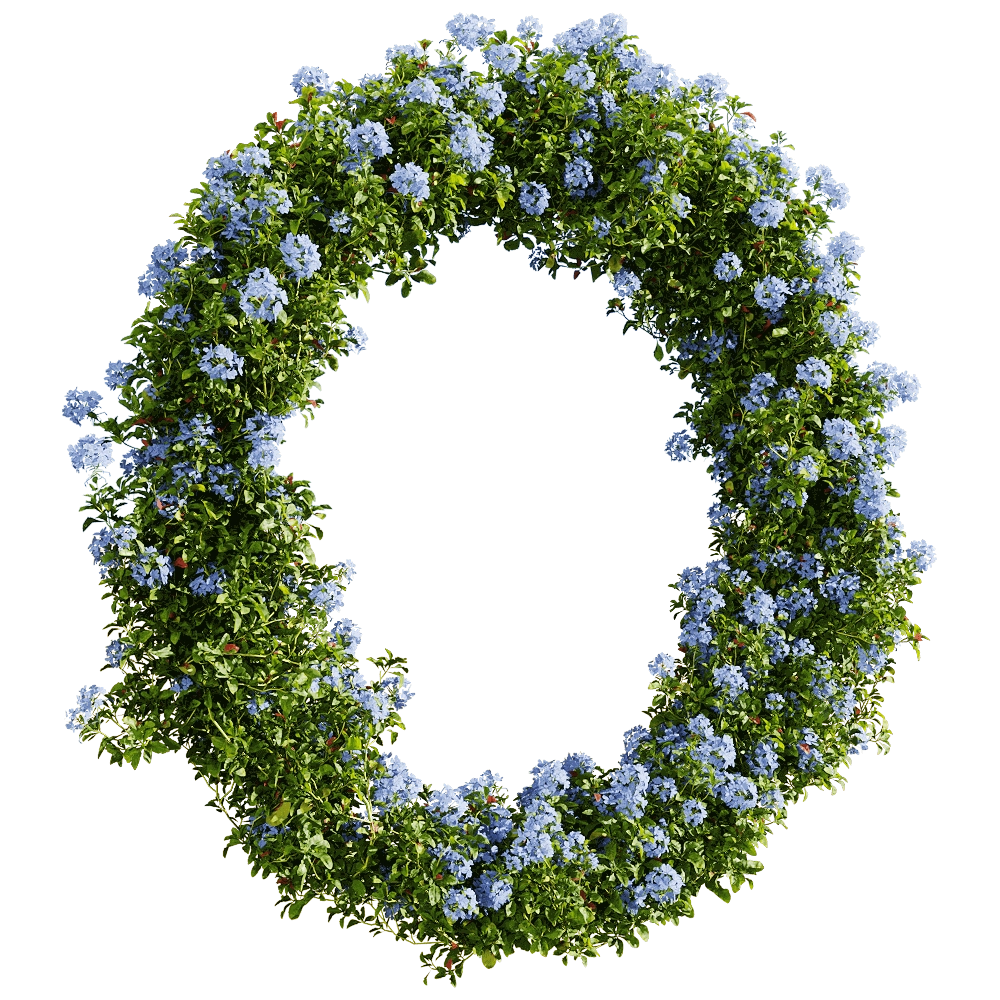 decoration – Ceratostigma plumbaginoides 6 3D Model decoration – Ceratostigma plumbaginoides 6 3D Model