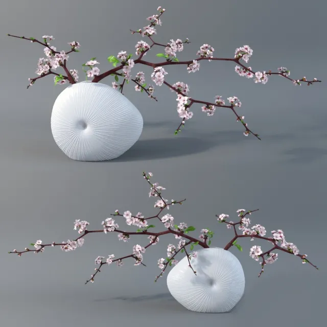 decoration – Cherry branches 02 3D Model