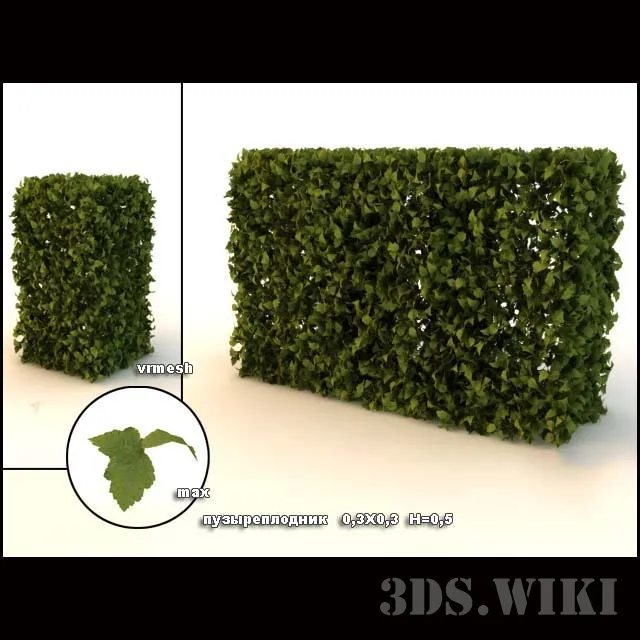 decoration – Classic bush – lawn 3D Model