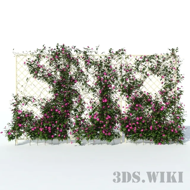 decoration – Clematis flower or vine 3D Model