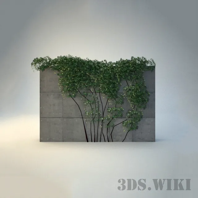 decoration – Climbing plants for the yard 3D Model