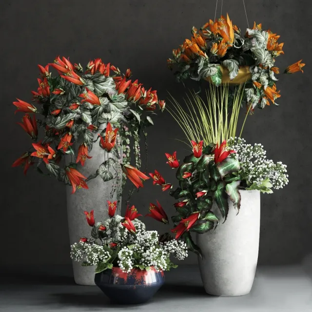 decoration – Collection of Confetti 3D Model