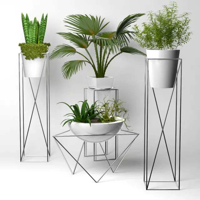 decoration – Collection of plants 3D Model