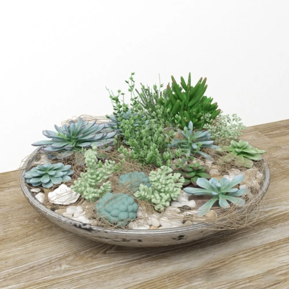 decoration – Collection of plants 3D Model