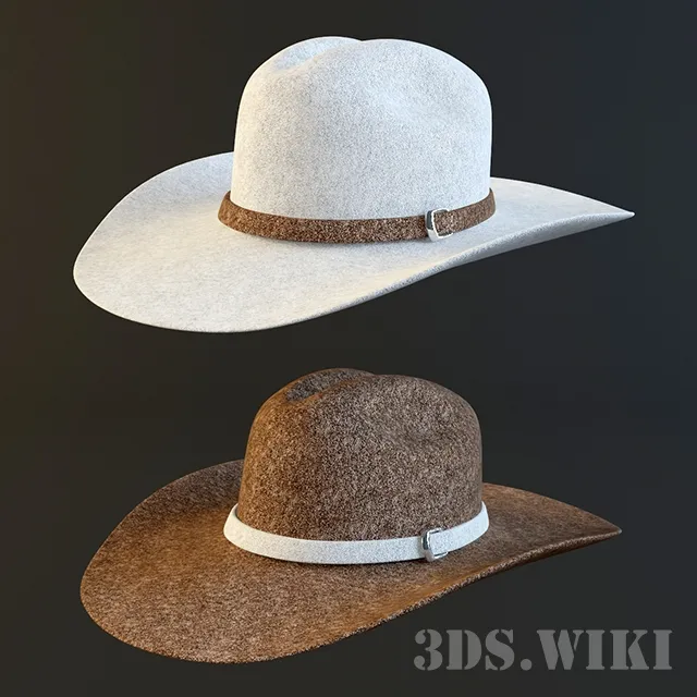 decoration – Cowboy hat 3D Model
