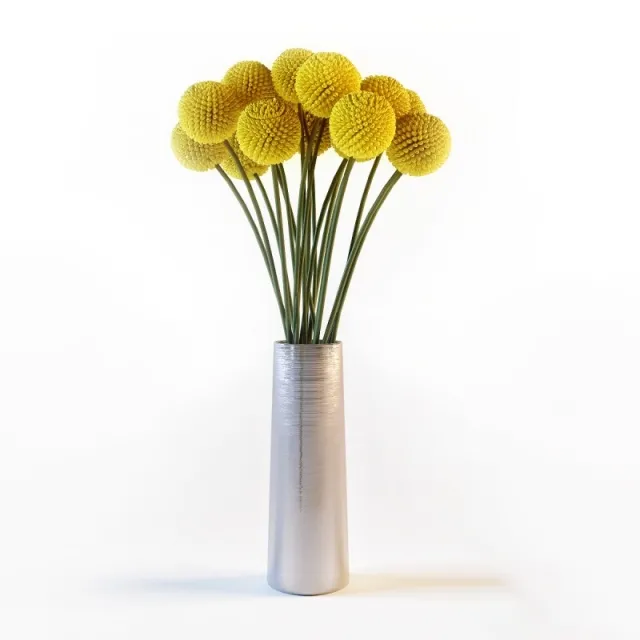 decoration – Craspedia 3D Model