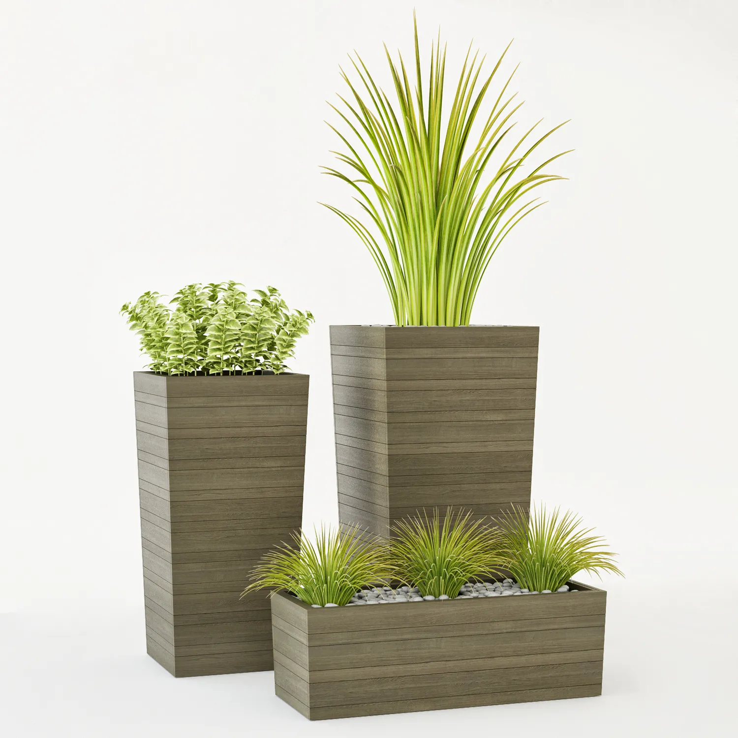 decoration – Crate & Barrel plants 3D Model