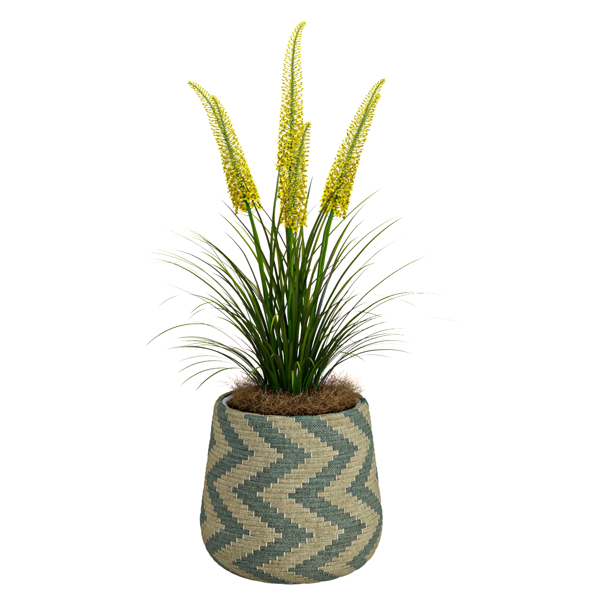 decoration – Creative plant 03 3D Model