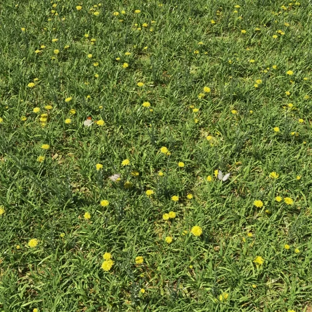 decoration – Декоративный зеленый набор 3D Model