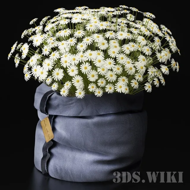 decoration – Сhamomiles with love 3D Model decoration – Сhamomiles with love 3D Model