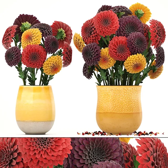 decoration – Dahlias 3D Model