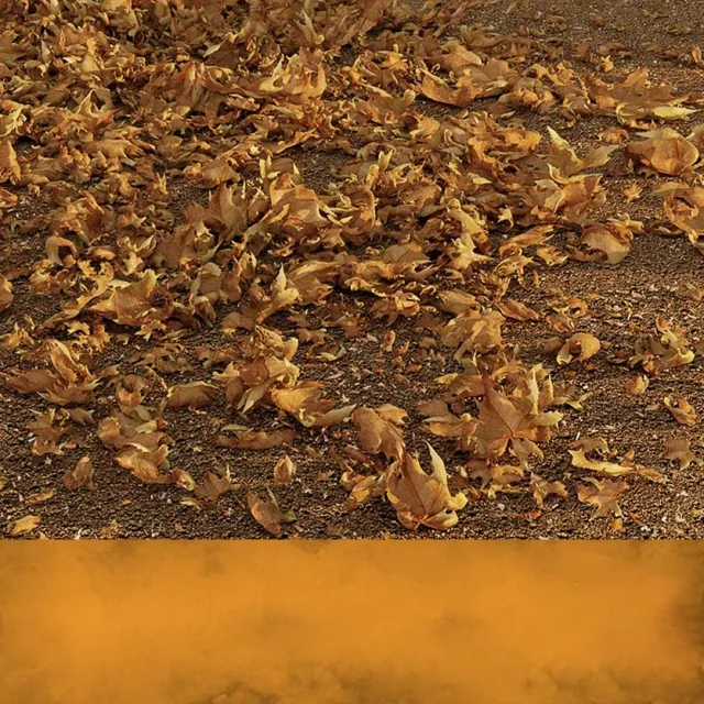 decoration – Dead Leaves 3D Model