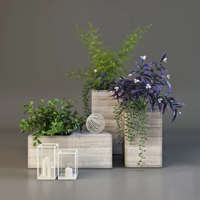decoration – Decor set with plants 3D Model