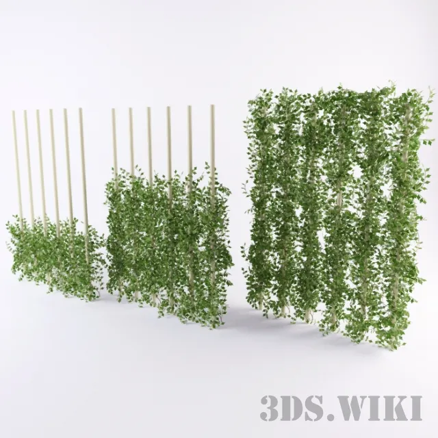 decoration – Decorative beautiful ivy 3D Model