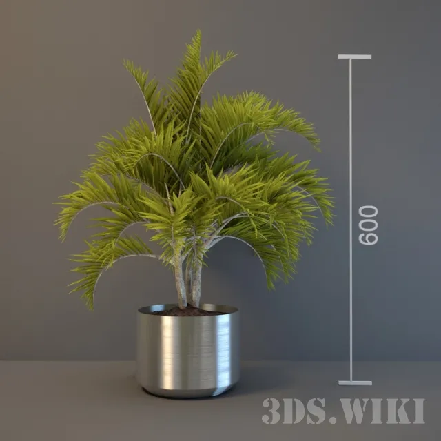 decoration – Decorative palm tree for interior 3D Model