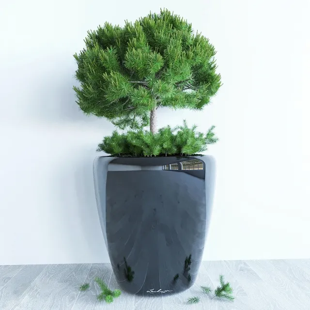 decoration – Decorative  pine 3D Model