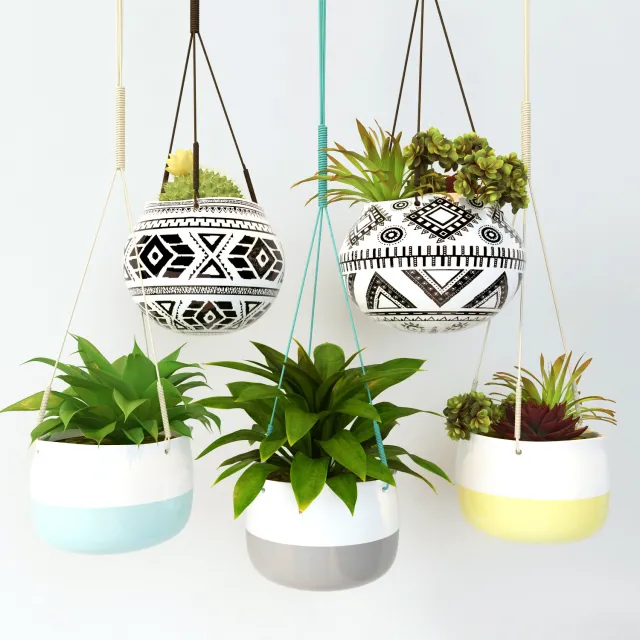 decoration – Decorative plants 021 3D Model