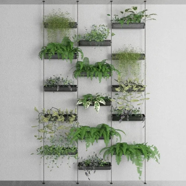 decoration – Decorative plants 3D Model